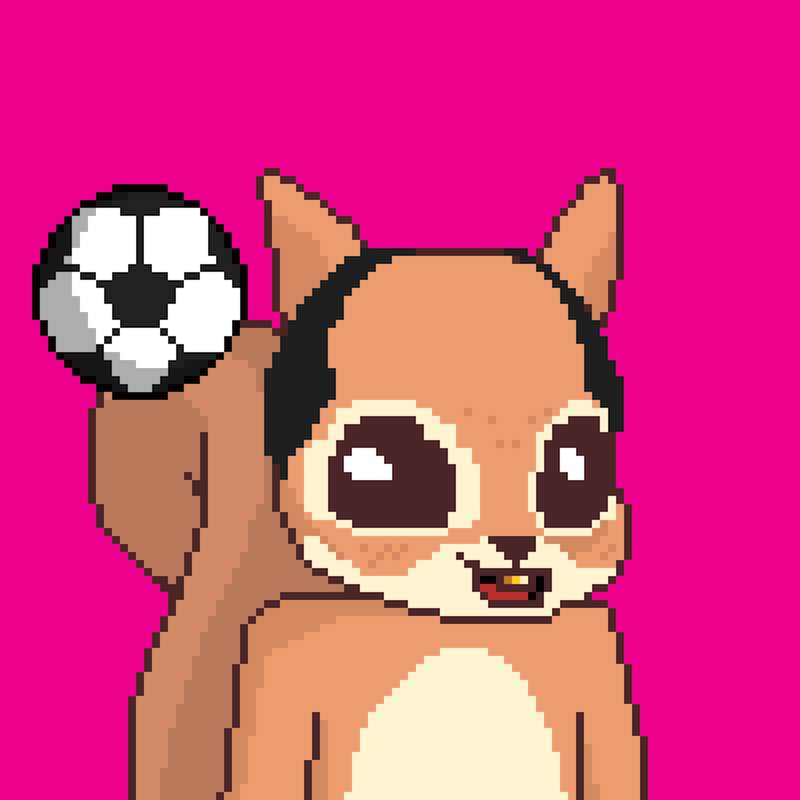 Pixel Squirrels #4169